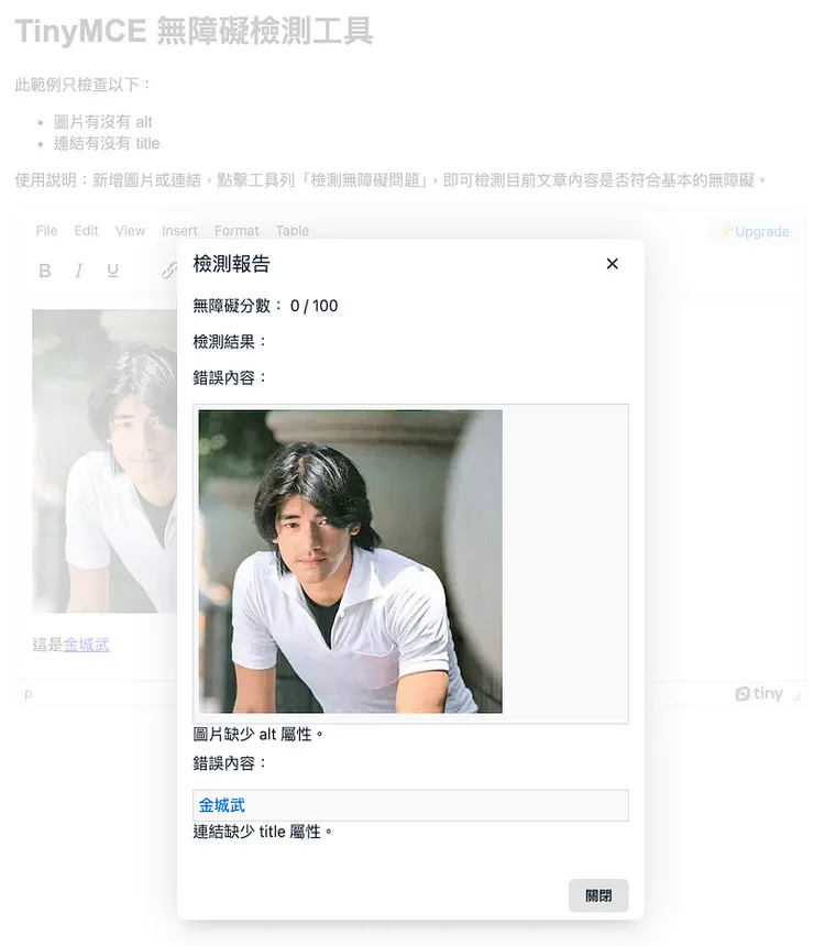 彈出視窗內有一張圖片與無障礙檢測內容